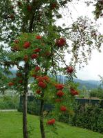Impressionen