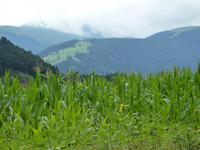 Impressionen
