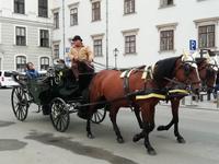 In Wien