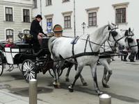 In Wien