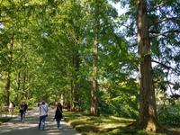 Insel Mainau (11)