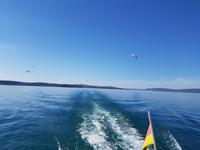Insel Mainau (2)