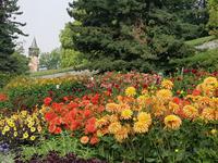 Insel Mainau (6)