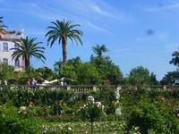 Insel Mainau