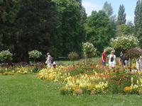 Insel Mainau