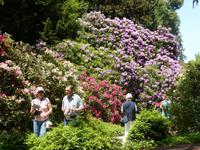Insel Mainau