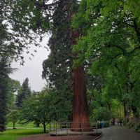 Insel Mainau