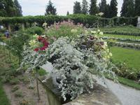 Insel Mainau
