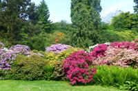 Insel Mainau