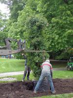 Insel Mainau