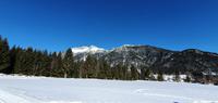 Landschaft
