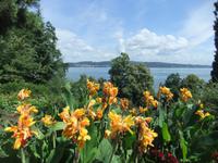 Mainau-Impression