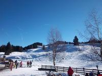 Naggler-Alm