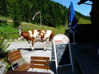 Natur pur!