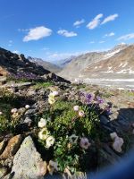Niederjoch