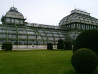 Palmenhaus im Schlosspark von Schönbrunn