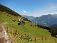 Panoramatour