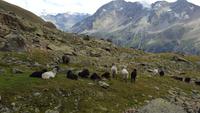 Panoramaweg nach Vent