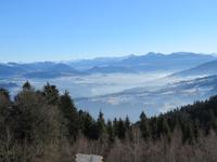 Pfänderrundblick