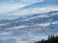 Pfänderrundblick