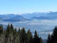 Pfänderrundblick