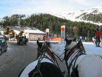 Pferdeschlittenfahrt auf dem Katschberg