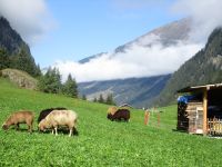 Pitztal