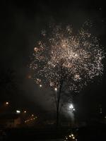 Prosit Neujahr