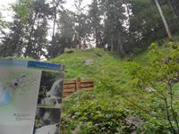 SAM_0659