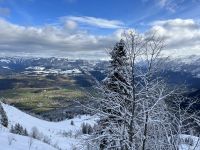 Schneelandschaft
