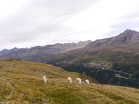 Seeplatte Wanderweg