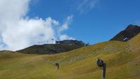 Ski Piste im Sommer