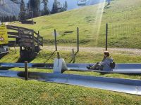 Sommerrodelbahn am Zahmen Kaiser