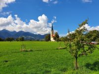 Spaziergang durch Nußdorf.jpg