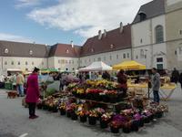 St. Pölten