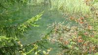 Steirische Bodensee