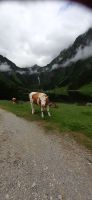 Steirischer Bodensee