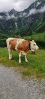 Steirischer Bodensee