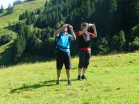 Synchronbild