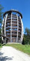 Tag 2 Baumwipfelpfad auf dem Grünberg 