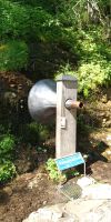 Tag 3 Wasserlauschmuschel am vorderen Gosausee
