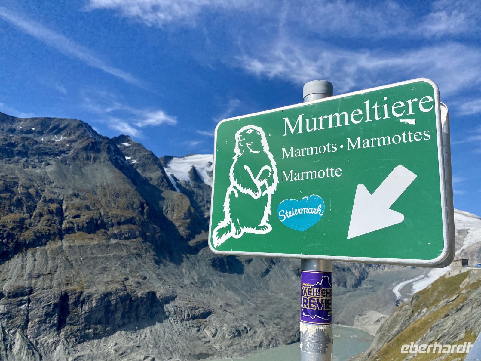 Tag 5 - Murmeltier gesichtet