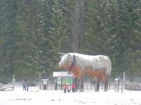 Teichalm