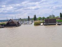 Uferbereiche Neusiedler See