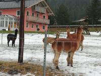 Unsere Nachbarn