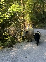 Unsere Wegbegleiter