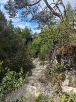 Urwüchsige Rosengartenschlucht 1