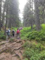 Waldwanderweg