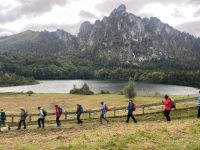 Wanderung am Laudachsee