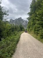 Wanderung zum Laudachsee